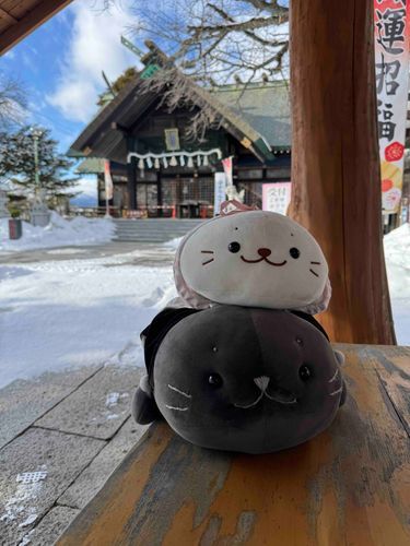 おひさ〜❣️
今日はパパしゃんと神社にきたのよ⛩️
