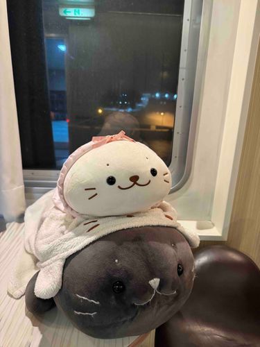 久しぶりのアップだよ🌟
今日はね、パパしゃんママしゃん、クロちゃん、ヒラメ👨👩🦭🦭の4人で、青森に上陸するのよ🚢🚗ワクワクで眠れないわ❣️