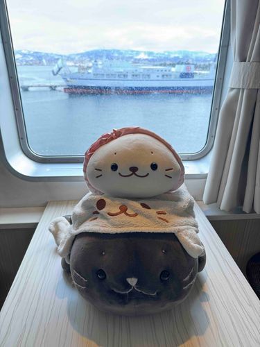 たのしかった旅🚗🚢ももうおしまいなの😭今日は北海道に帰る日なの🚗🚢また来年もきたいねーってみんなで話していたのー☺️