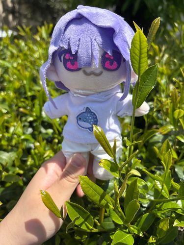 お茶つみ〜🌱