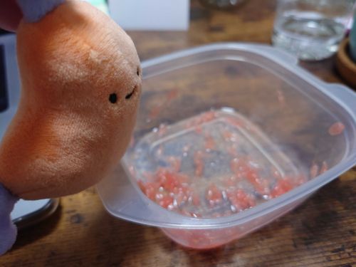 グレープフルーツ食べて偉いね！