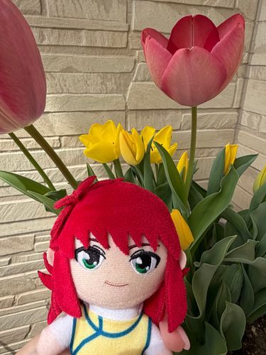 うちでそだててるチューリップ*.🌷.*