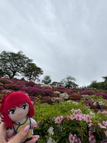 最近勉強しかしてなかった५✍地元のつつじ祭りに行ってきたよ🌸*･曇ってたけど人結構いた🙋‍♀️