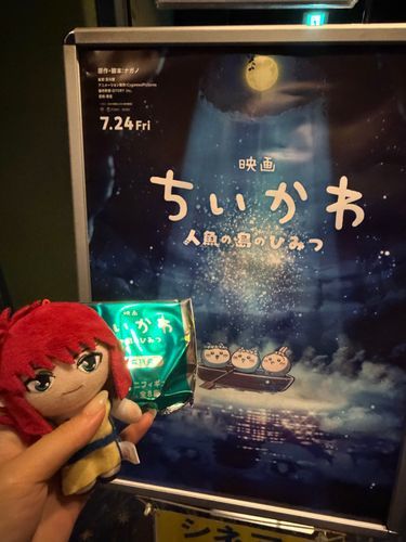 見るよ👀