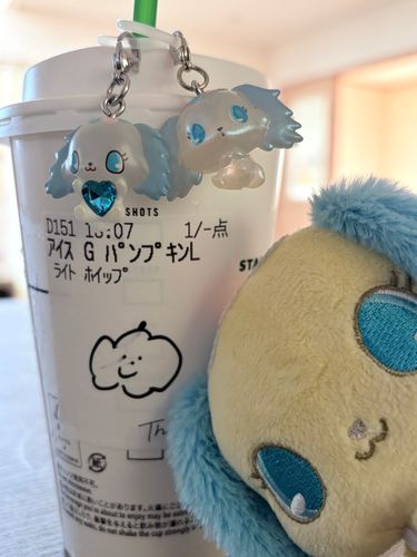 最近気になっているサフィーちゃん🩵ᩚ