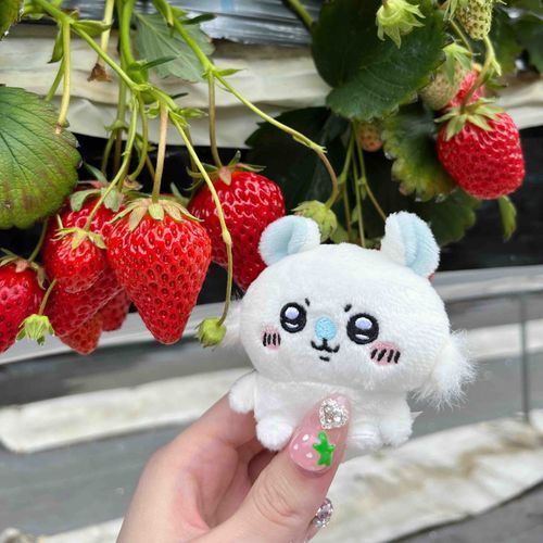 いちごとモモちゃん🍓