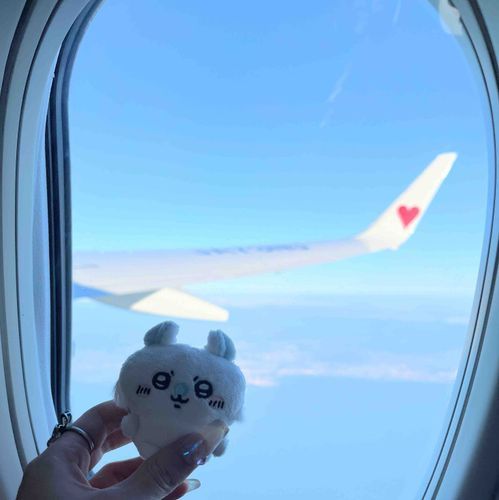 一緒に飛行機✈️乗ったよ