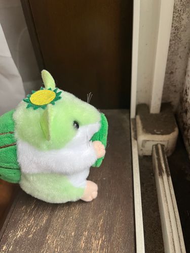 まどぎわが　ばっちぃ