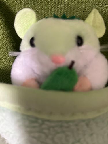 なんだか　ねむれない日