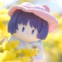 ホぬい