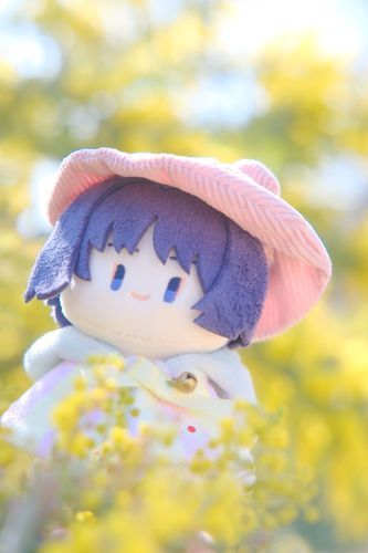 ミモザといっしょ