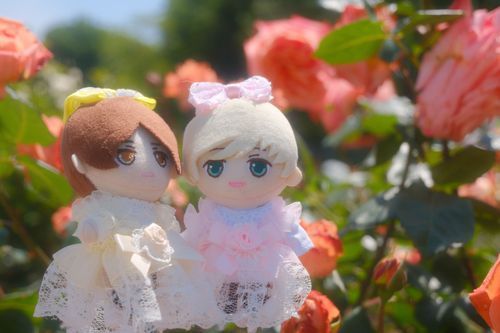 先日は薔薇園に行きました。
薔薇とわたしたち、とても似合っていましたね。


斜に構えたり&るいくん