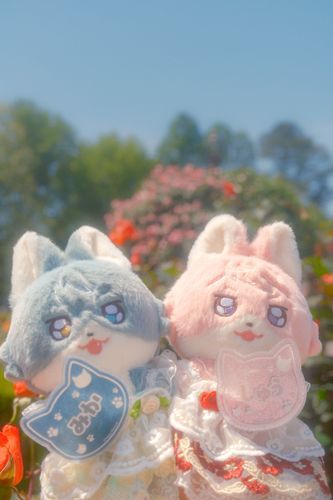 おしさんと薔薇園やー！テーマパーク感のある写真撮ってもらたでー➰