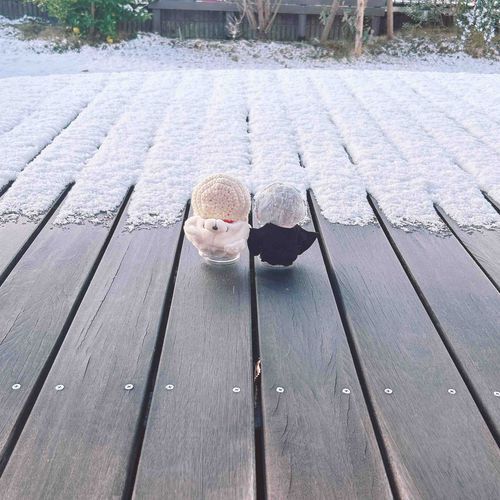 はじめての
ゆき