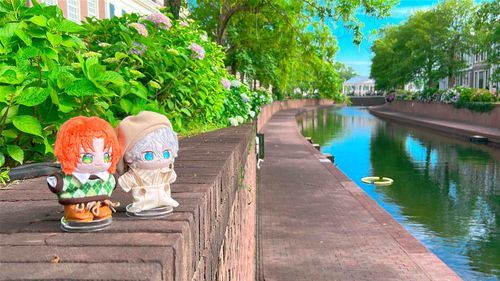 きれいな
うんが