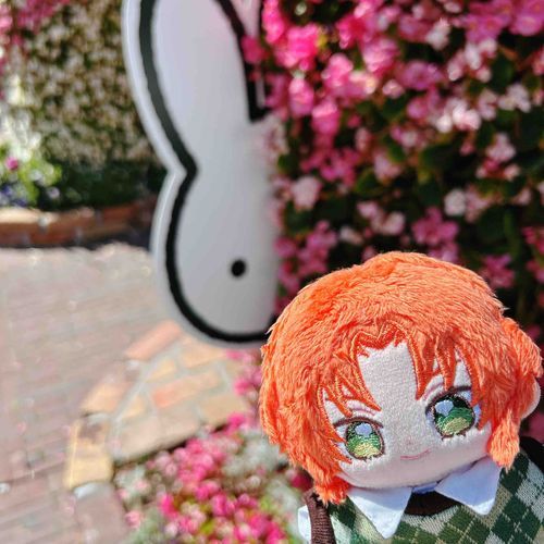 ひょっこり