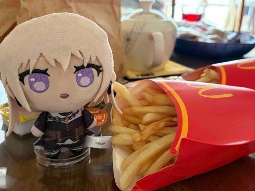 きょうはマックを買ってきたよ。ポテト美味しいなぁ🍟