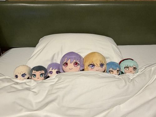 ライブも終わってみんな寝る時間だよ🌙ゆっくり休んで明日も楽しもうね。