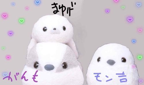 ぷりくらを とって みました！
たびさきの おもいでに
はじめての たいけん です。

なんだか おめめが とっても きらきら！
これが もれる って ことでしょうか…？