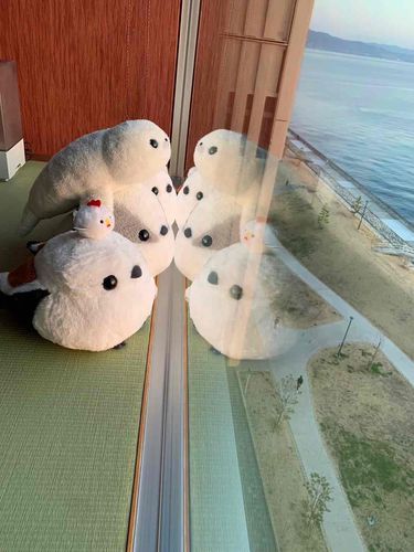 あけがたに みんなで おへやから みた うみ
ほんとうに ほんとうに きれいで
ずっと みちゃいました。

ずっと わすれない だろうな。