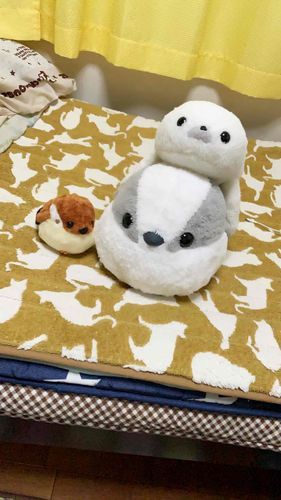 しばらく かぞくの じっかに さとがえり してました！

いけぶくろが ふるさと だけど
かぞくには さいたまに じっかが あります。

さいのくに さいたま！