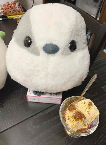 きれいに とっぴんぐを して…
かんせい！！

なめらかで あまくて とっても おいしい！
おかわり したく なっちゃう！

しょうらいは あいすやさんに なれるかも！
