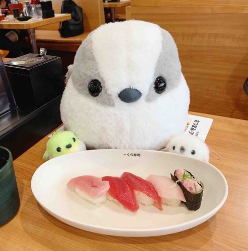 おすし！！！！

くるくる おさらが まわっている
おすしやさんへ いきました！
まぐろ ねぎとろ ぶり いか ほたて……
どれに しようか まよっちゃう！