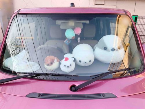 ぶーん！ どらいぶです！
とくとうせきに すわらせて もらいました。
けしきが よく みえて すごい！
くるまって どうして こんなに あしが はやいのかな？
がんばって はしる れんしゅう したら
おいぬけるかな？