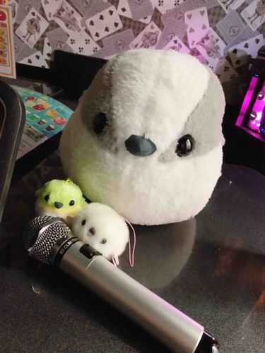 ふたりとも とっても おうた じょうず！

ふたりで おうたを うたうのを
でゅえっと と いうそうです。
これぞ まさしく はーもにー！
こんどは さんにんで いっしょに
うたおうね！