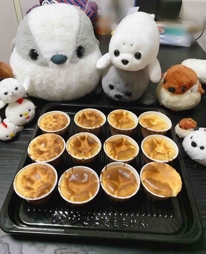 じょうずに やけました！
やきたて あっつあつ
さくさく ふんわり もっちり！
ちーずの さんみと
くりーむの あまさ！

とっても とっても おいしく できました✨