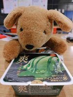 ぽんぽん