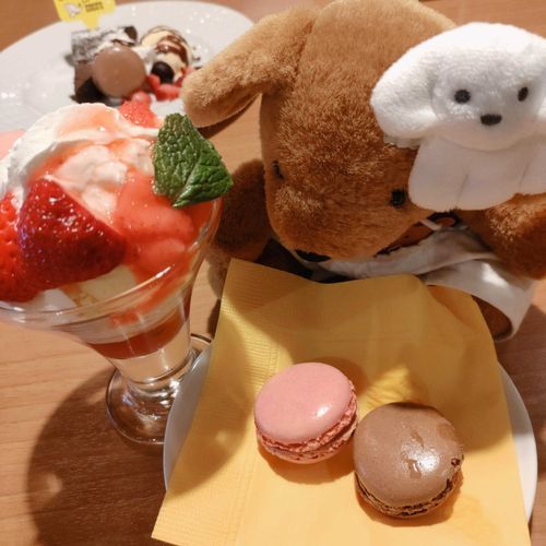 ぽんのだよねー