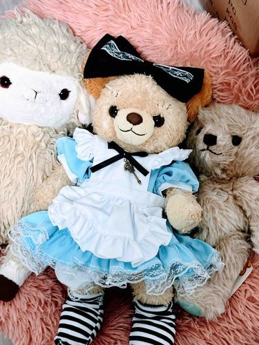お久しぶり

今日はアリスのおよぷくだよ！