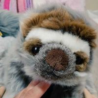 キュルル