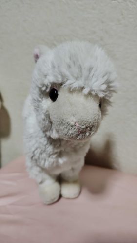 はじめまして、レオンです
僕はアルパカのぬいぐるみ
１５年前に主のところに来たよ
今は主の布団に住んでて寝る時は一緒に寝てるよ
ちなみに僕以外にもたくさんいるから
また今度紹介するね
よろしくね🦙