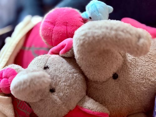 パオねえちゃんのおててもハムハムされたのよ、新入りはなんでもハムハムちゅるのよ……