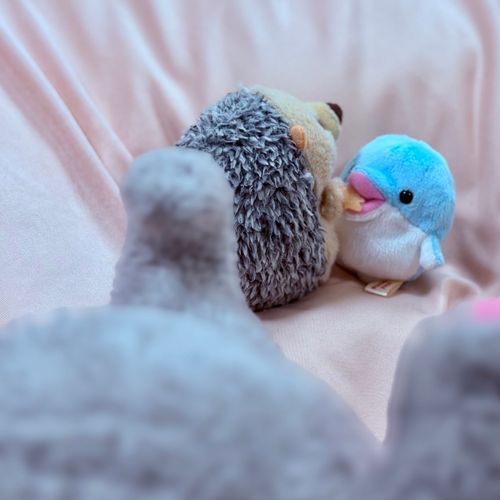 握手しようとしたハリーちゃんがおててを食べられてたのよ…