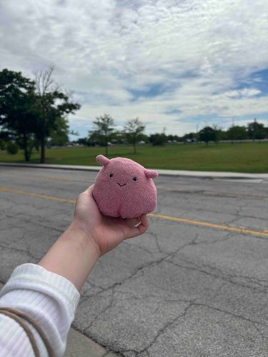主とお散歩めぇ！！☁️
