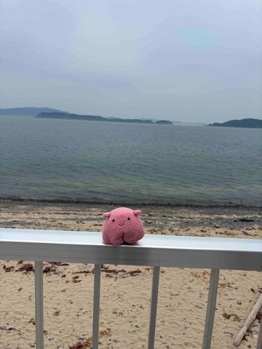 海めぇーーーーん！！