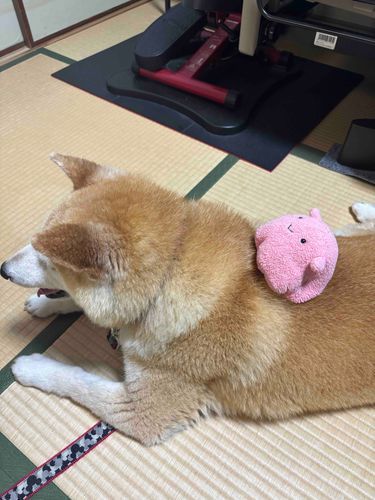 仲良しめんよー！