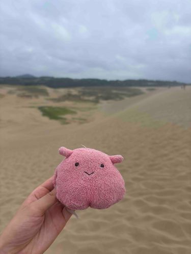砂丘にきましためぇ〜！