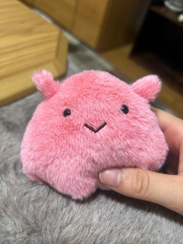 落ち込んで泣いている私をみかねた両親が、新生めんめんをお迎えしてくれました…😭
ずっと一緒にいためんめんとお顔がそっくりで…😭
生まれ変わってお家に来てくれたと思って大事に大事にします…😭😭😭