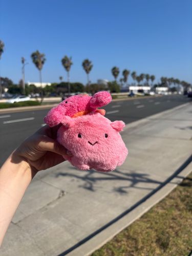 お散歩🚶‍♀️