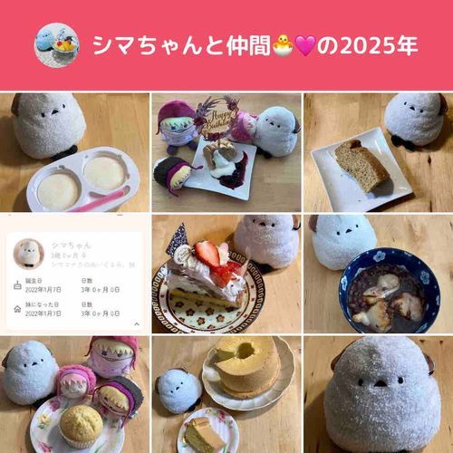 🐣滑り込みでち😌みんな、今年もいっぱい仲良くしてくれてありがとうでち💗お菓子をいっぱい作ったでちね😊来年も元気ですごそうでち💗よろしくでち😊
👩本当、みんなたくさん仲良くしてくれて、時には元気づけてくれて、ありがとう😊今年は新しい目標ができて、勉強を始めたわ。1年では目標を全て達成できそうにないけど、ひとつひとつしっかり地に足をつけて目標に向けて頑張るわ😊みんな、来年もよろしくね😉