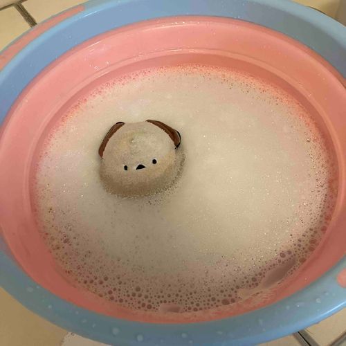 🐣昨夜のお風呂は気持ちがよかったでち😊あたちたちのところも寒かったから、ゆっくりお姉ちゃんと温まったでち😊あとね、ブラシがくすぐったかったでち😊
👩寒がりなシマちゃんにはこの気温はキツかったと思うけど、温かいお風呂に喜んでもらえて何よりよ🤭特製の入浴剤（体がきれいになる洗剤といい香りの洗剤と愛情💗）にもご満悦よ💗