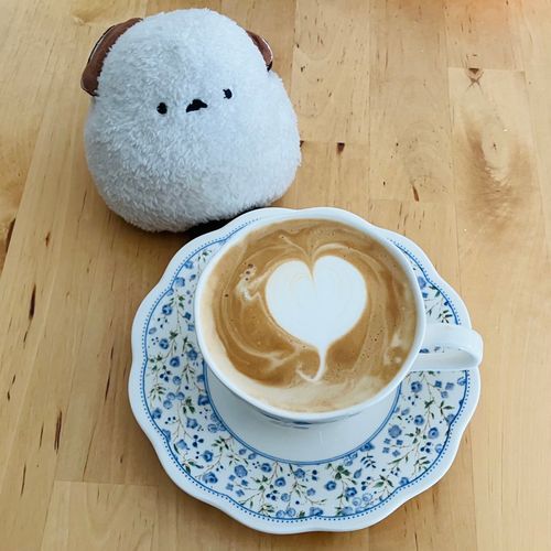 🐣ラテアート上手くできた時のやつでちって。ハートがはっきり見えるでち😊しばらく見れなかったこと、みんなごめんねでち…お姉ちゃん、すごく疲れてるみたいでち。そんななかでも趣味でスペイン語🇪🇸を勉強し始めたでちって。あたちは…全然何言ってるかわからないでち。
👩コーヒーをくださいってスペイン語で言いたい時はね、『¿Quiero un café,por favor?』って言うのよ😊まだまだ始めたばかりだけど、なかなか面白いわよ😊