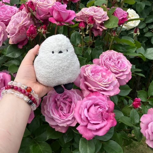 🐣この前お姉ちゃんとバラを見たでち。ゴールデンウィークでち？こんなに休みがあるでちね🤔あたちはピンクのバラが気に入ったでち😊
👩シマちゃん、興味津々で見ていたわ🤭シマちゃんもバラがお似合いね😊