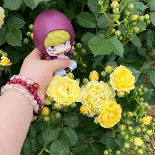 💖オレもバラを見たぜ✌️これは…オレの髪色に似てるな😊
👩コラちゃんもなかなか楽しんでいたわよ😊わたしは赤黒いバラが好きだわ🥰