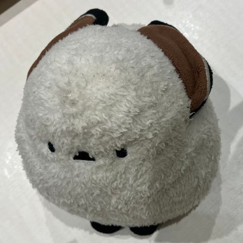 🐣😠
👩シマちゃんはこの後しばらく目を合わせてくれなかったわ🥲お友達かと思ったのかしら…
