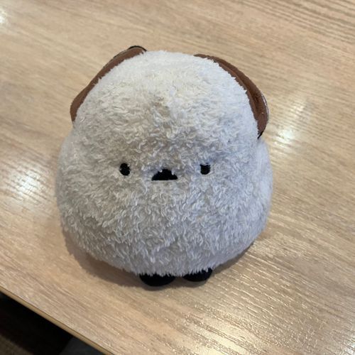 🐣んおお…😴
👩デニーズに朝ごはんを食べに来たわ😊シマちゃん、まだ眠いみたい。全然起きてないわよ🤭